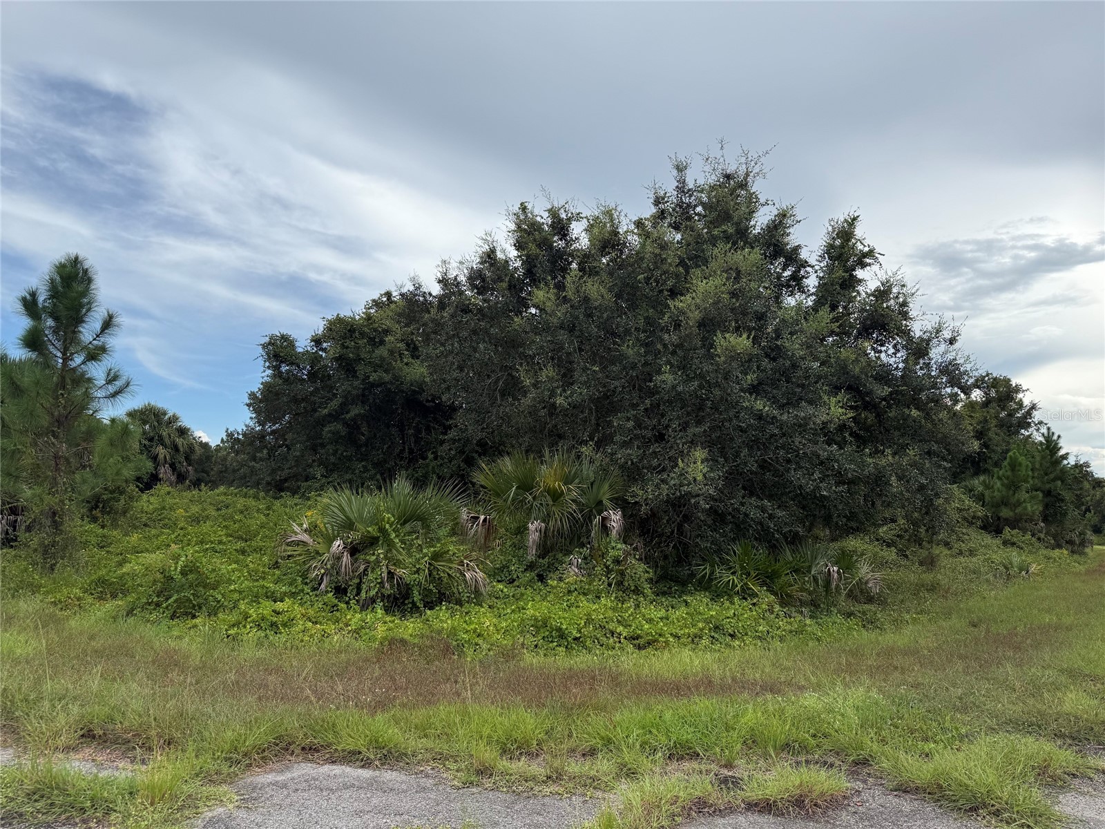 Lot 1 GASKINS CIRCLE