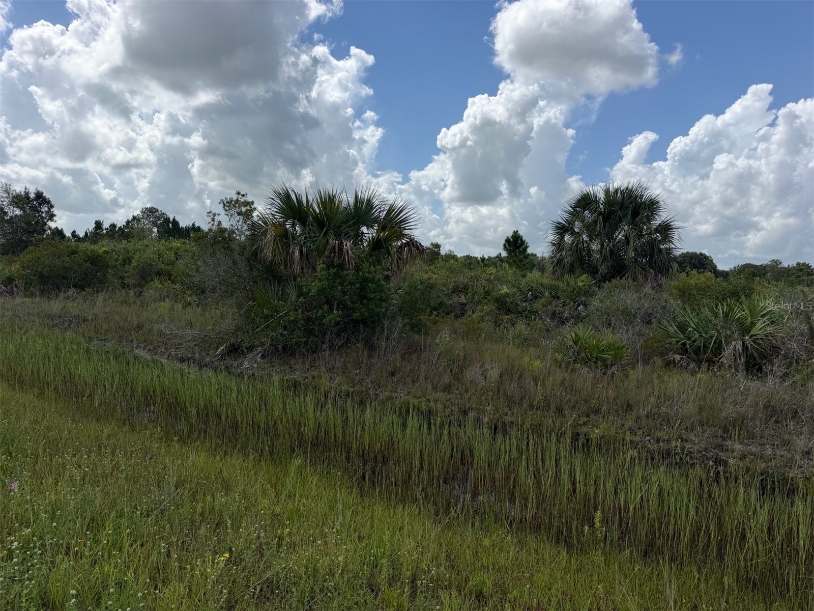 16474 NW 258TH STREET