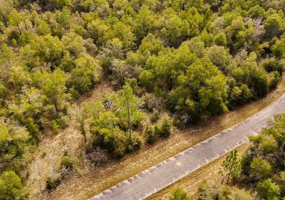 LOT# 42 DANDELION DRIVE