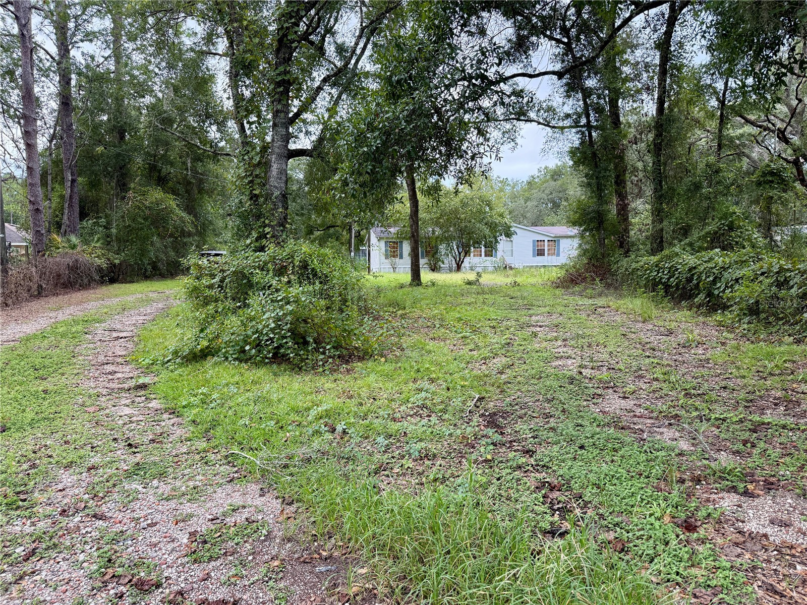 11360 NE STATE ROAD 24
