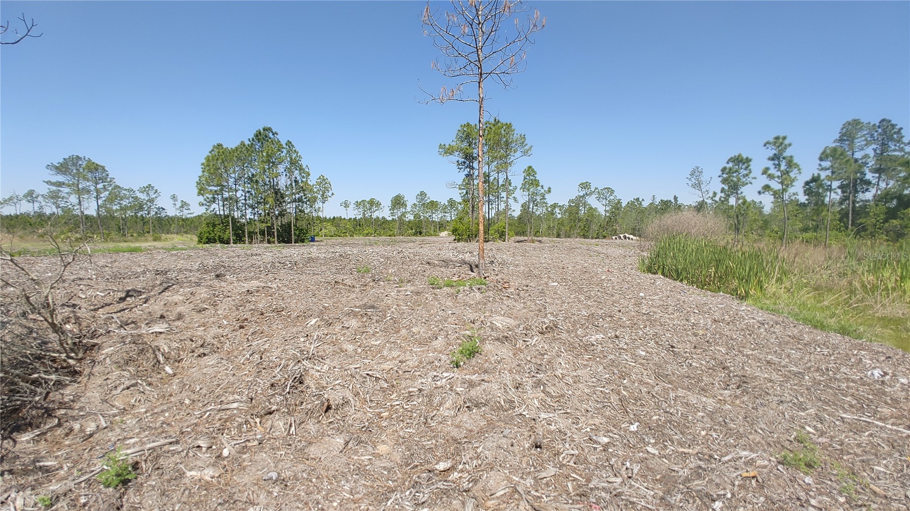 1001 OMEGA RANCH ROAD 16