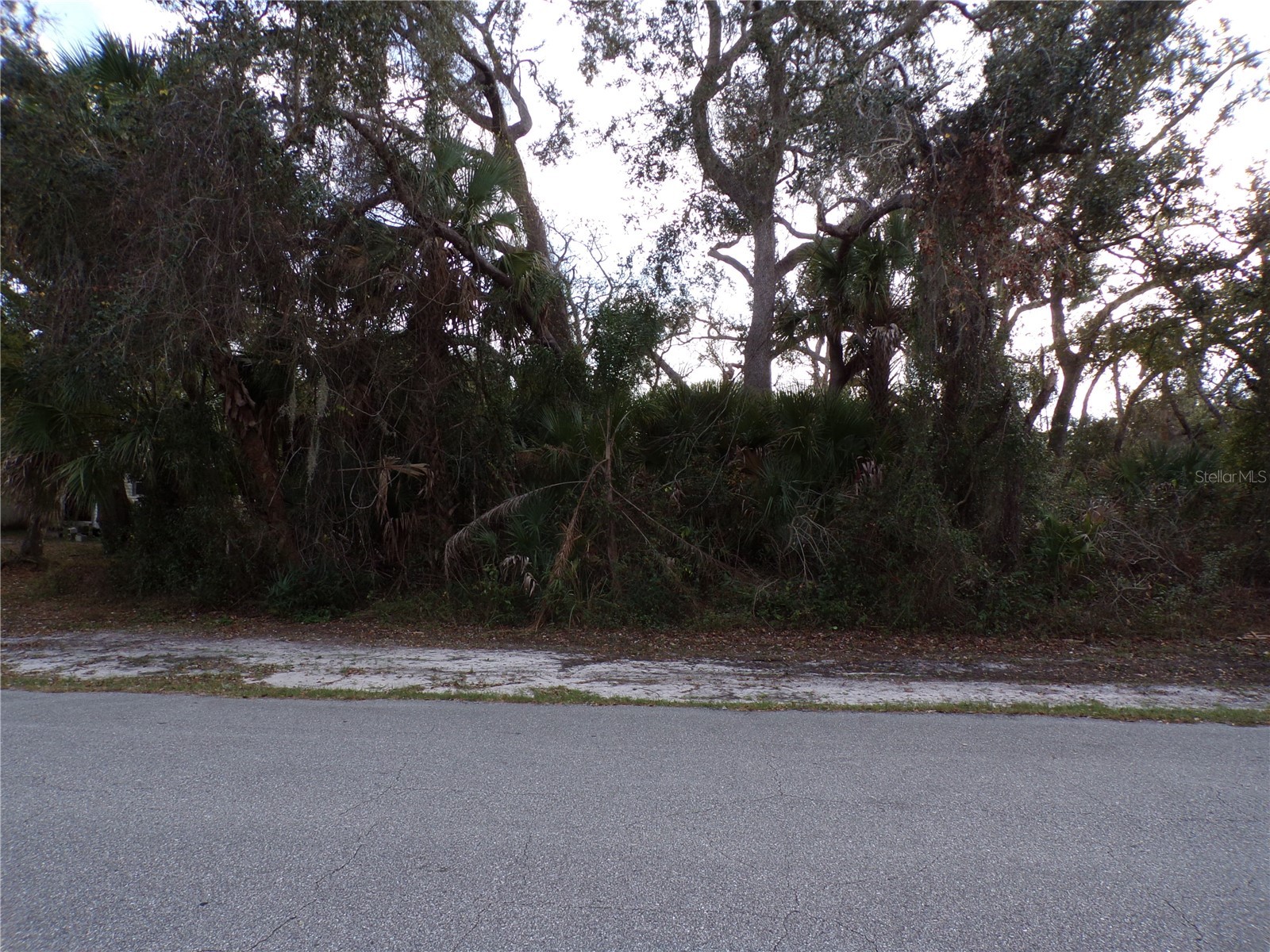 TEPEE AVENUE