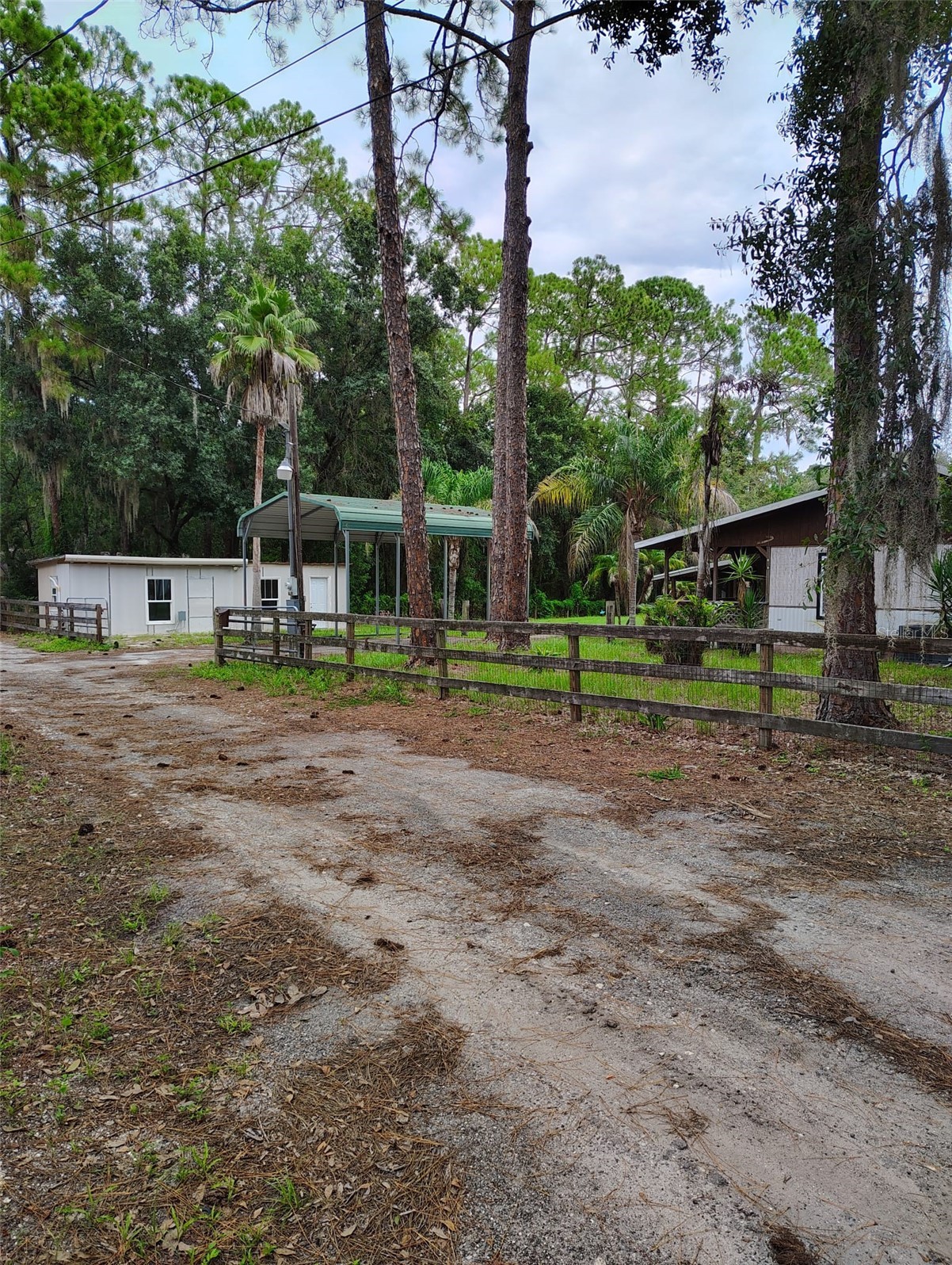 1741 BANANA ROAD