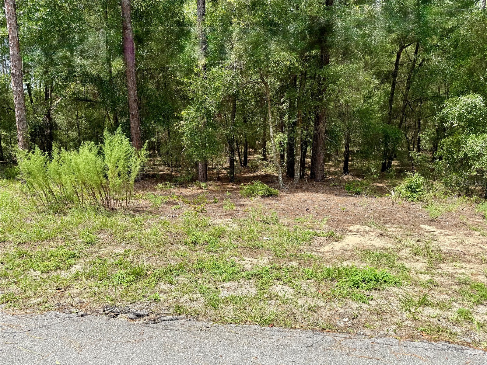 SW 205TH CIRCLE