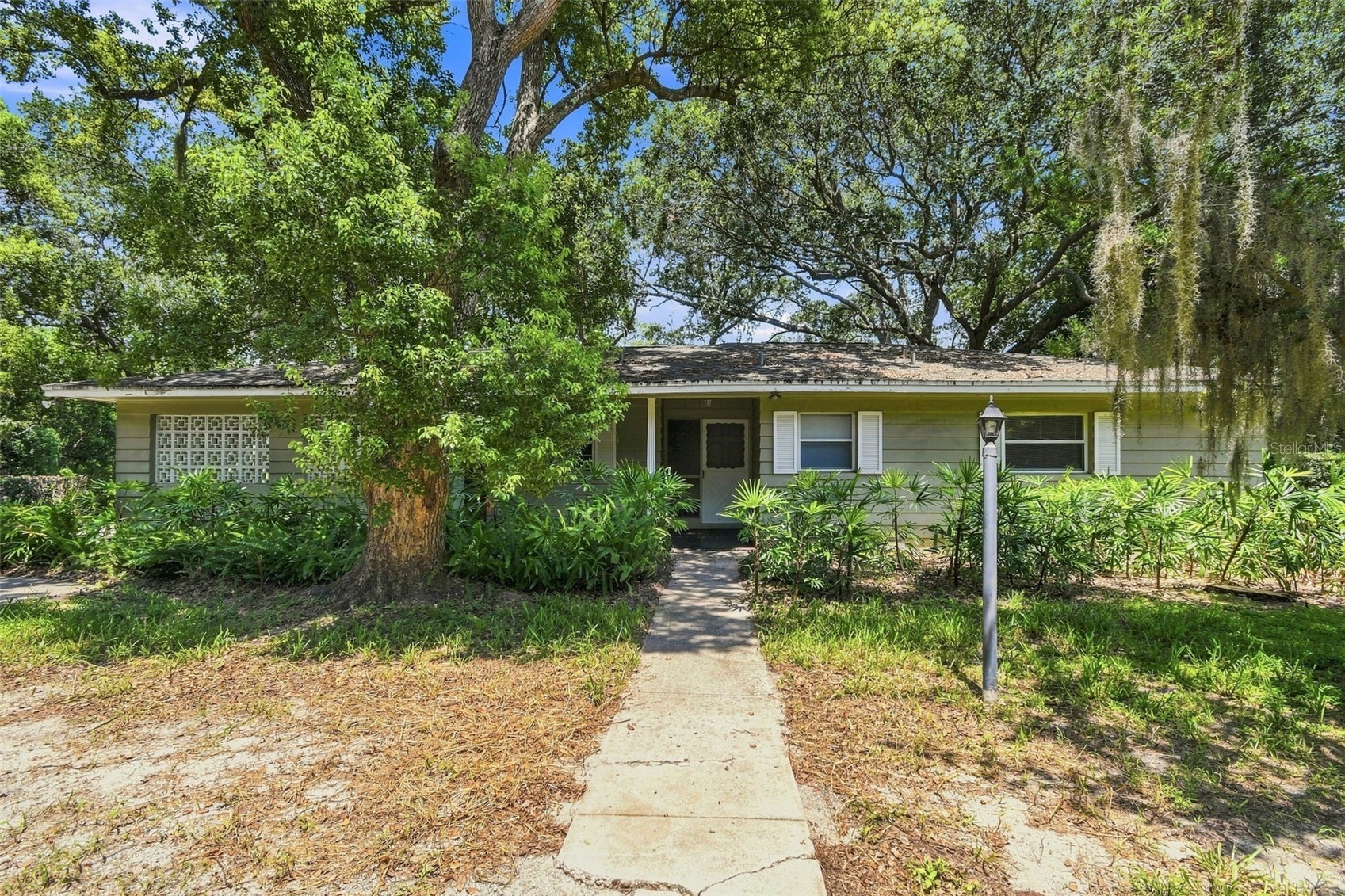 100 PINE CIRCLE DRIVE