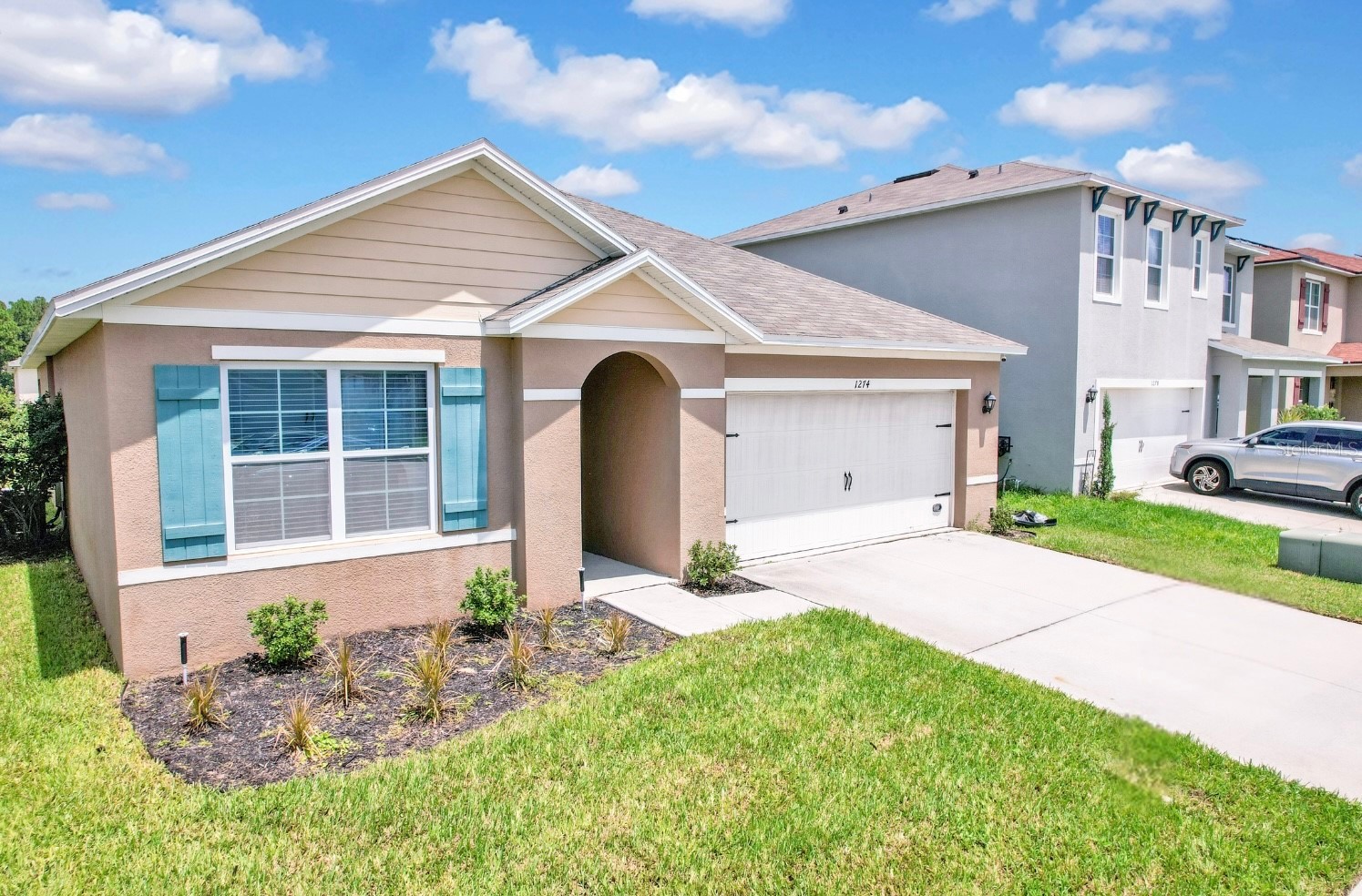 1274 IGUANA LOOP