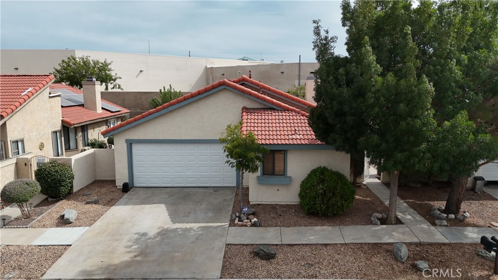 16241 Tokay