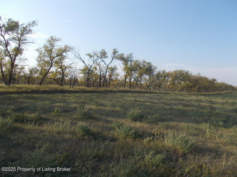 3287 82W Avenue SW, Richardton, ND 58652