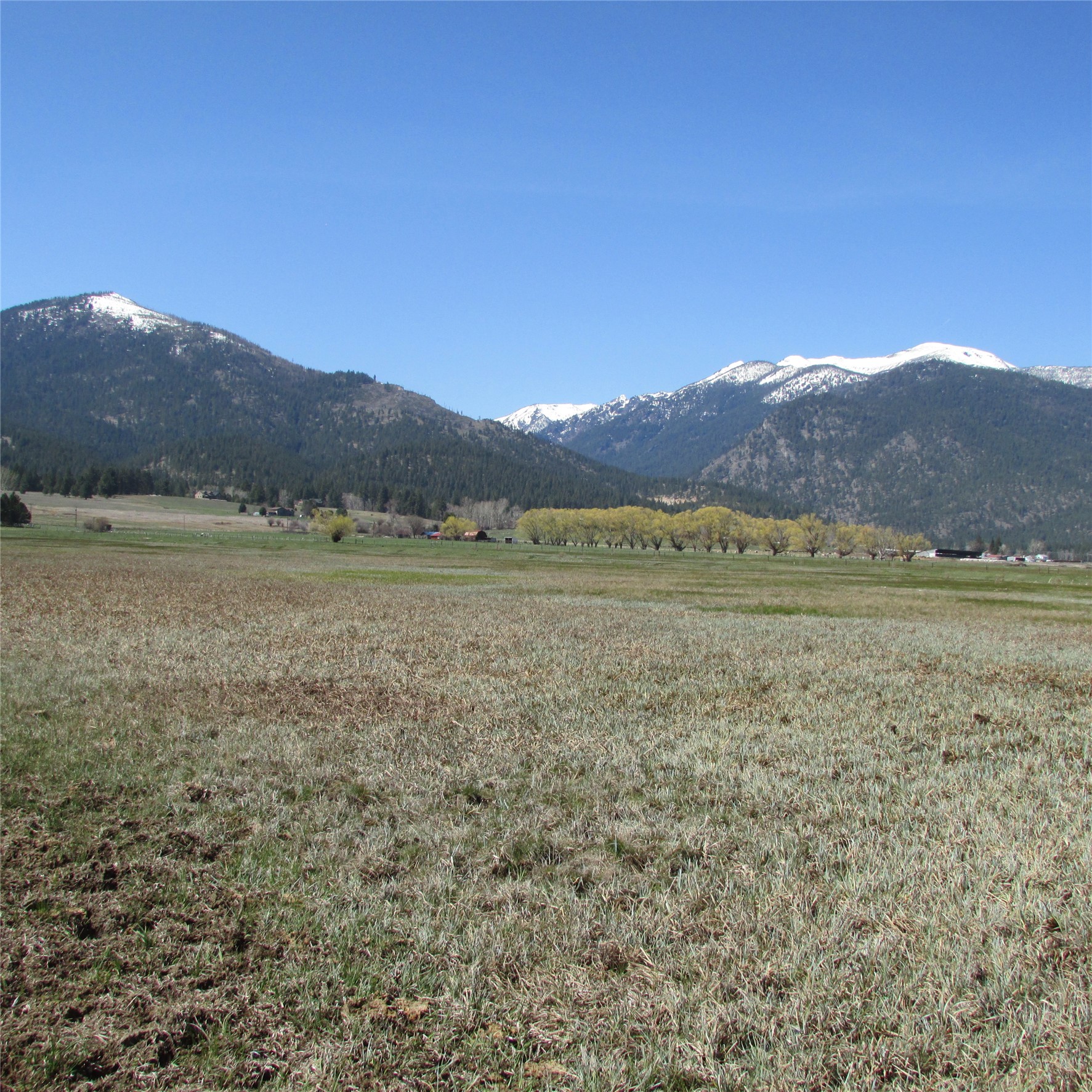 NHN Meridian Road