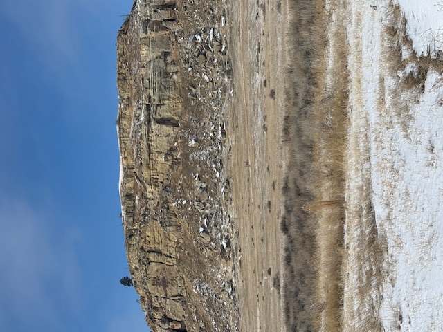 NHN Canal Road