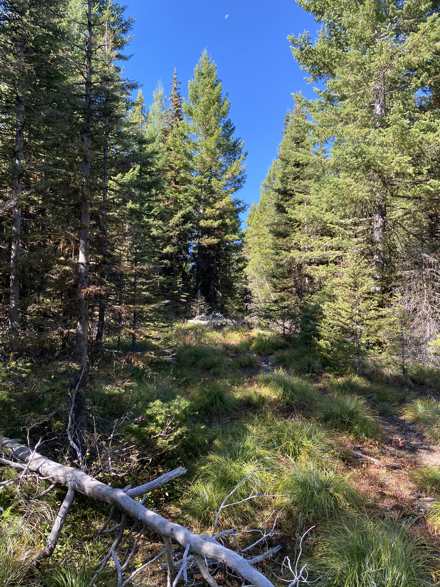 NHN Mill Creek Road