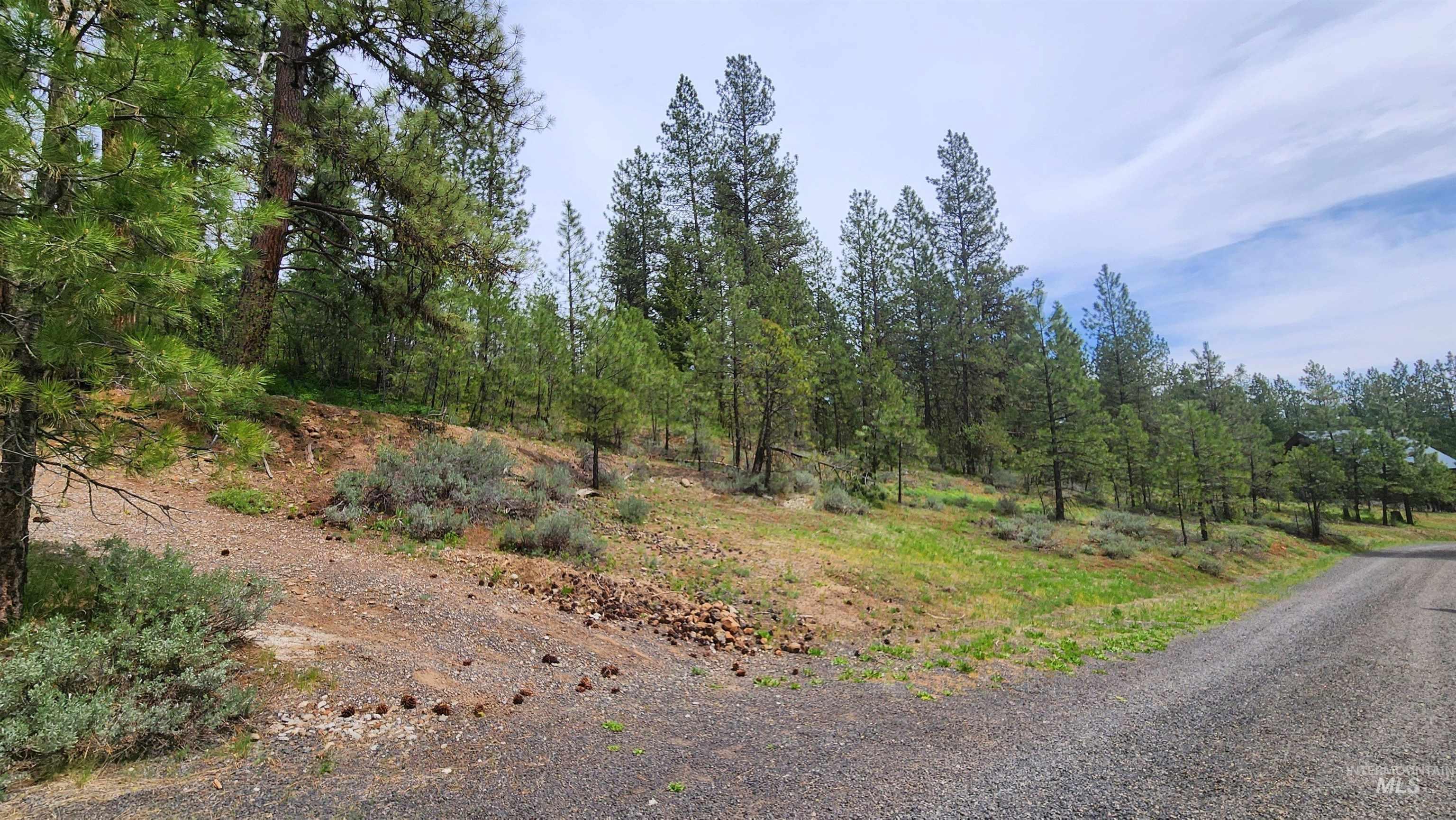 TBD Kimberland Drive, New Meadows ID 83654