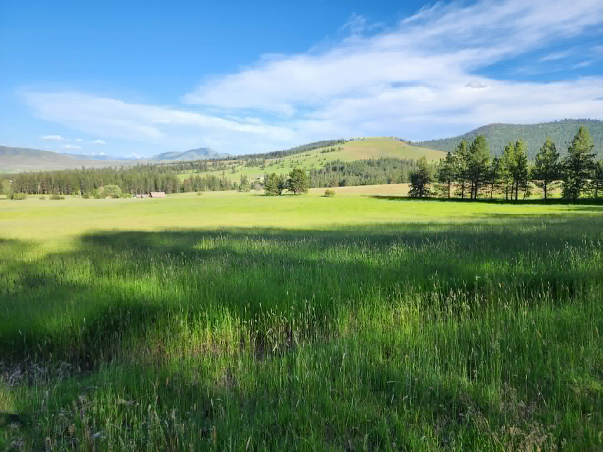 NHN Old Hot Springs Road