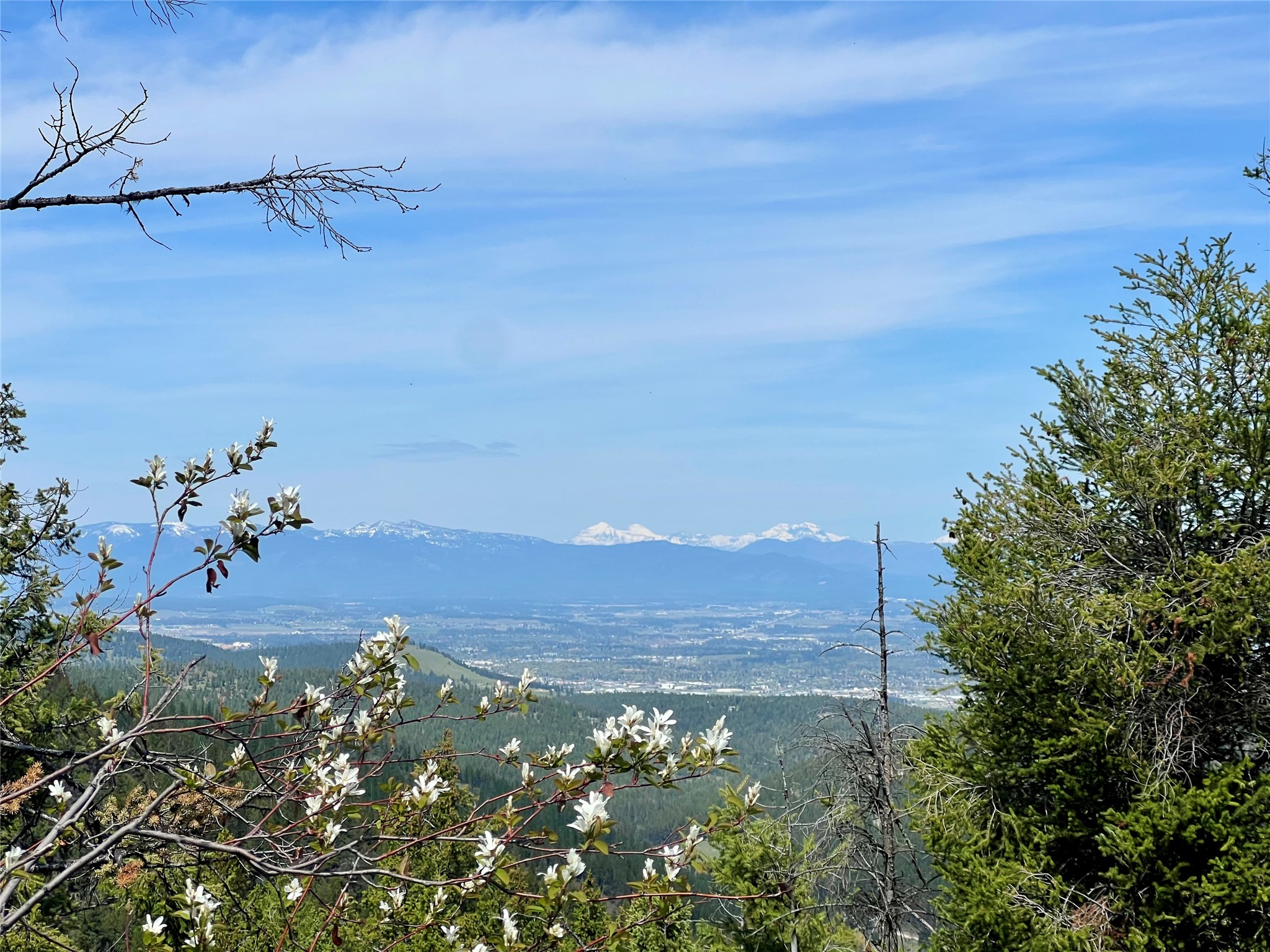 NHN Patrick Creek Road