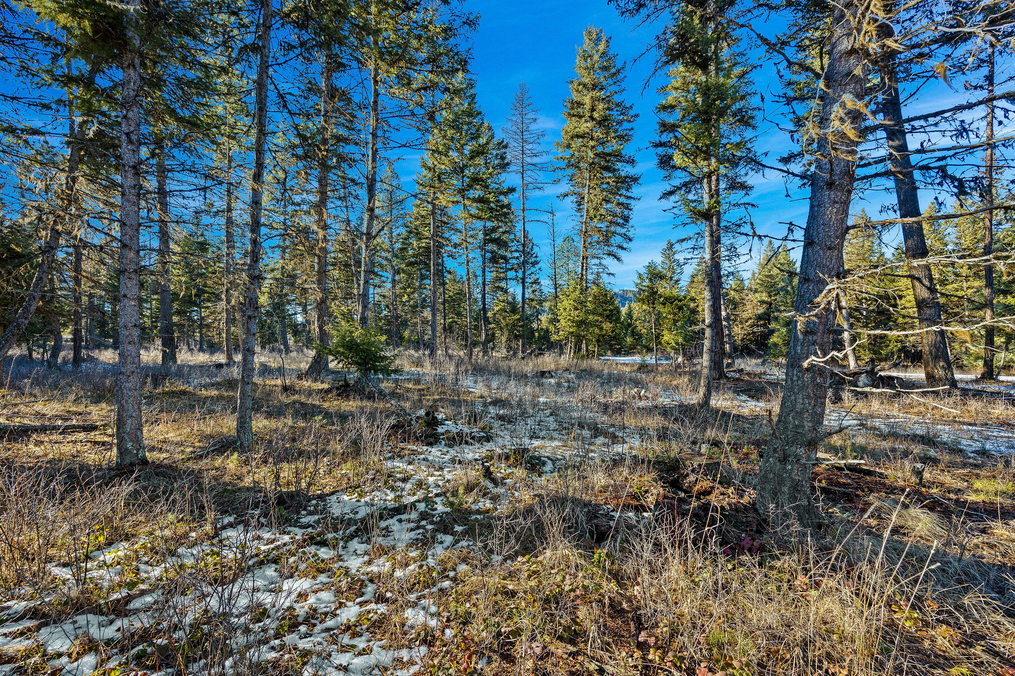 Nhn N Dayton Creek Road