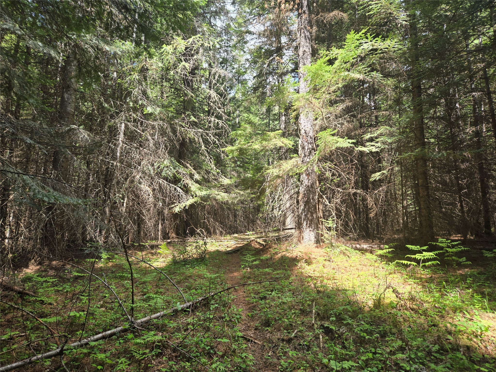 Lot A-2 Elk Heights Lane