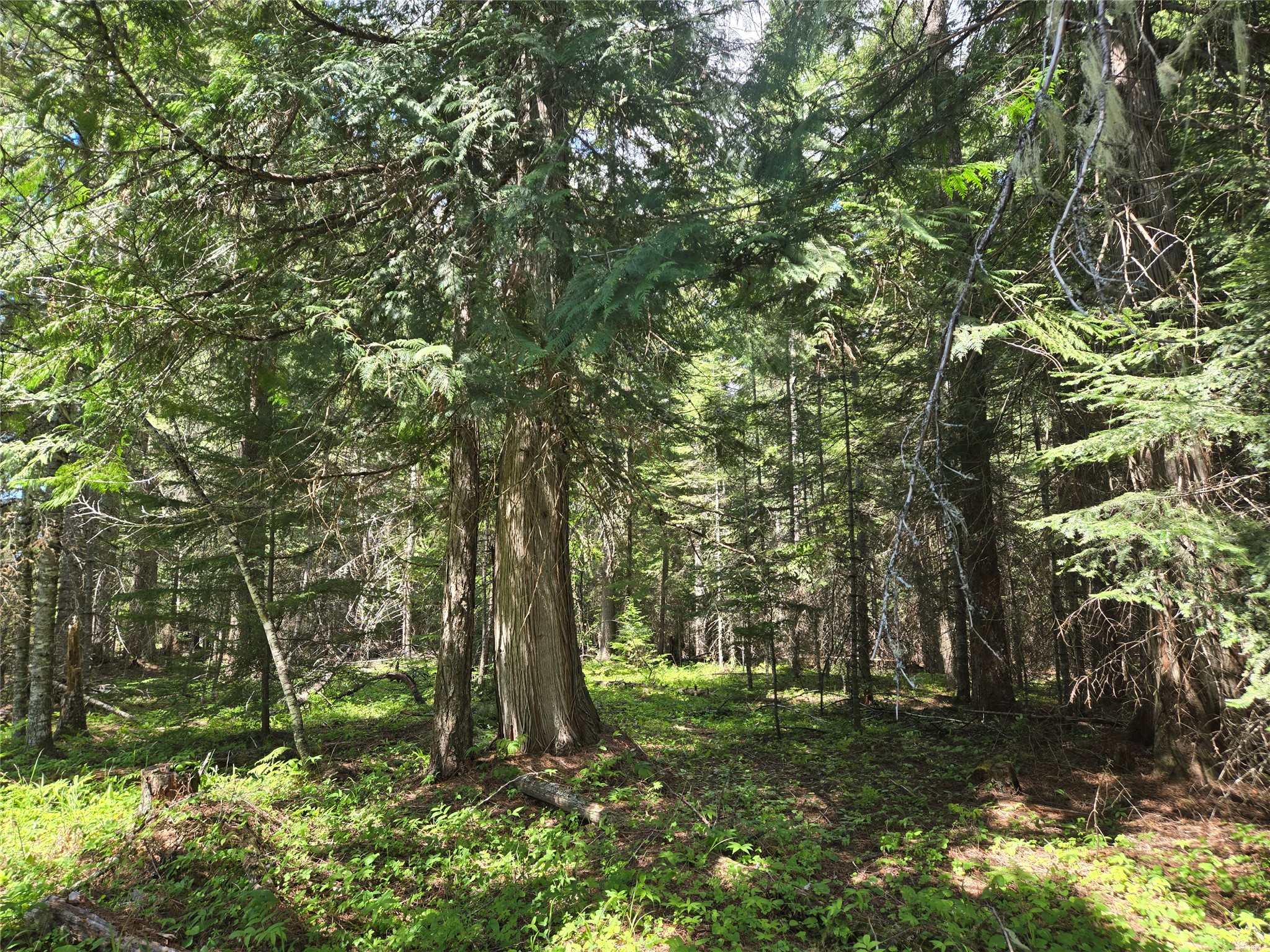 Lot A-1 Elk Heights Lane