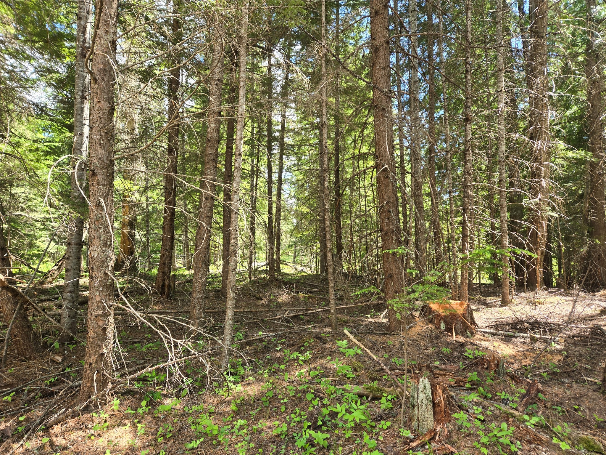 Lot A-4 Elk Heights Lane