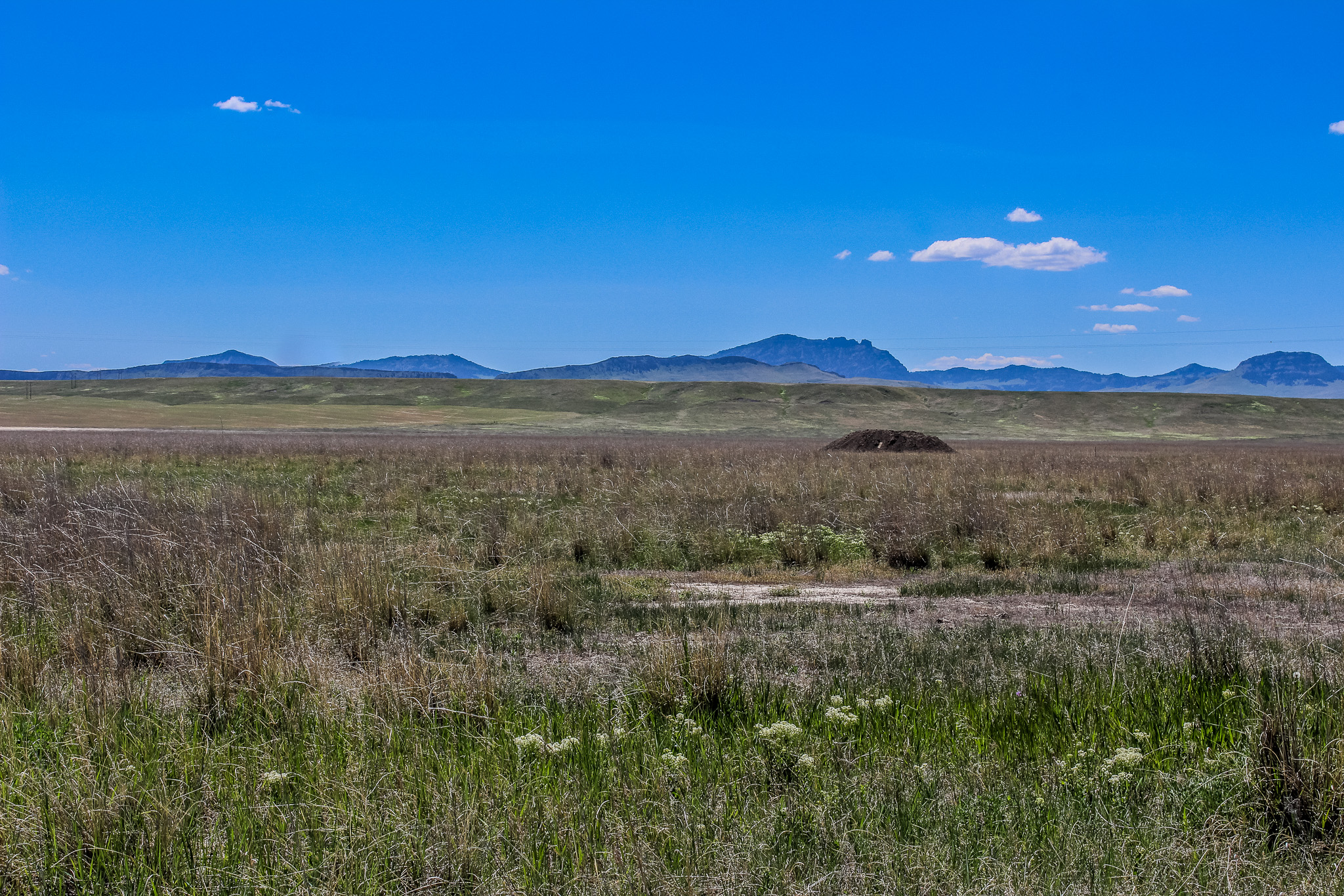 Tract 24 Old Ulm Cascade Road