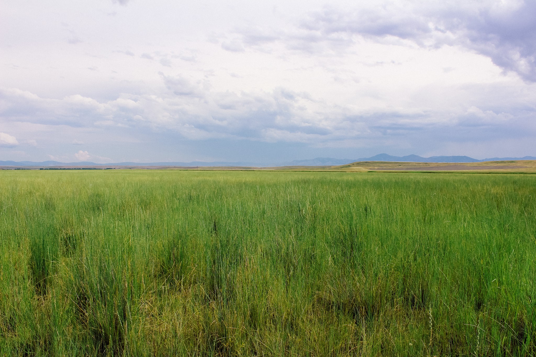 Little Muddy Creek Ranch