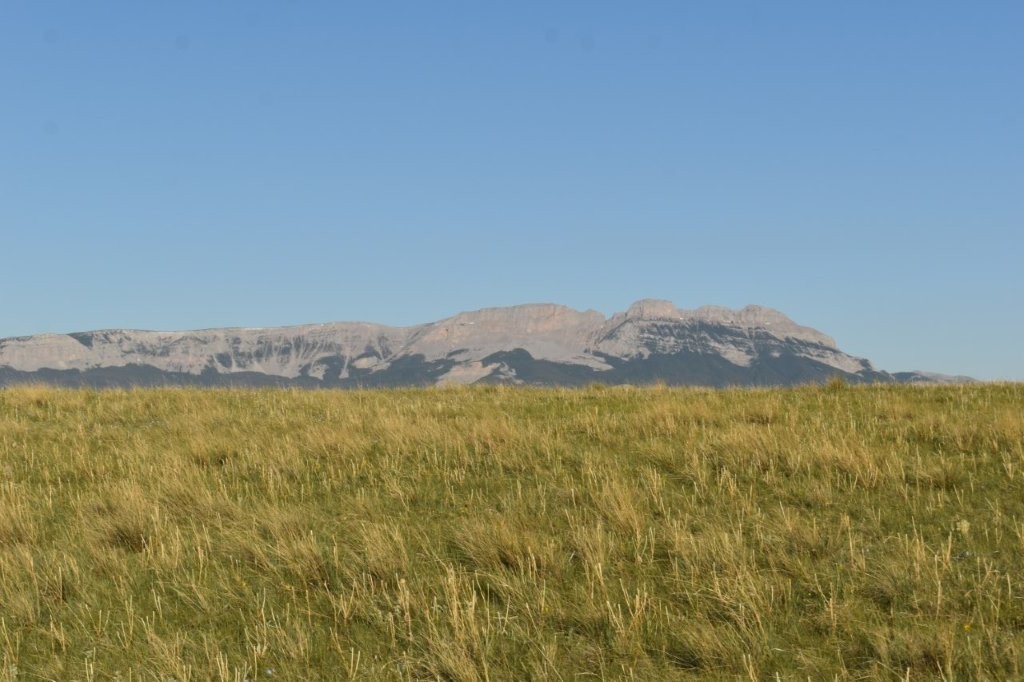 Lot 50 Meadowlark Lane
