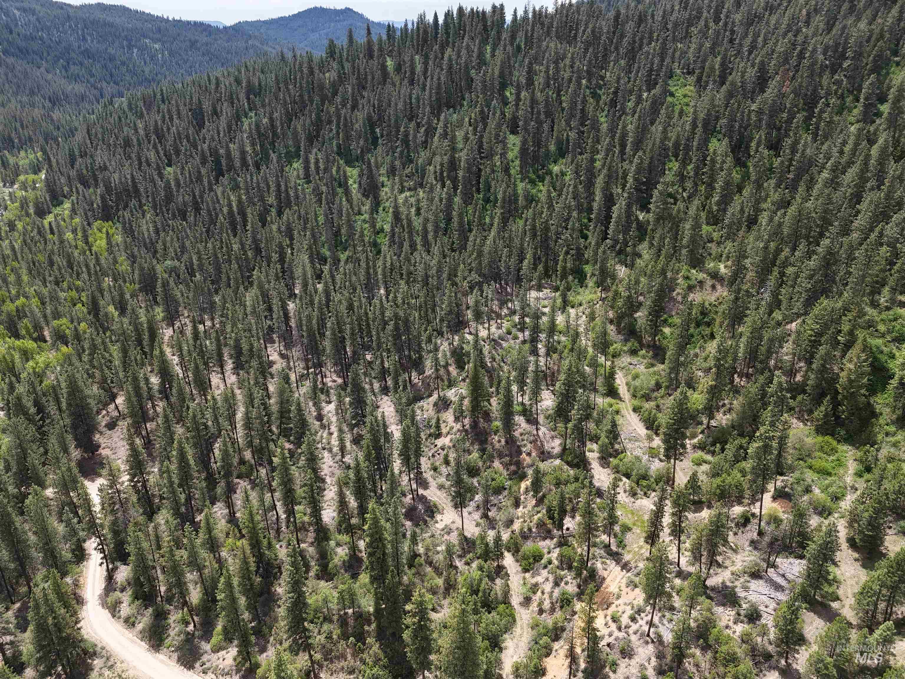 TBD 39.64 Manning Ln, Idaho City ID 83631
