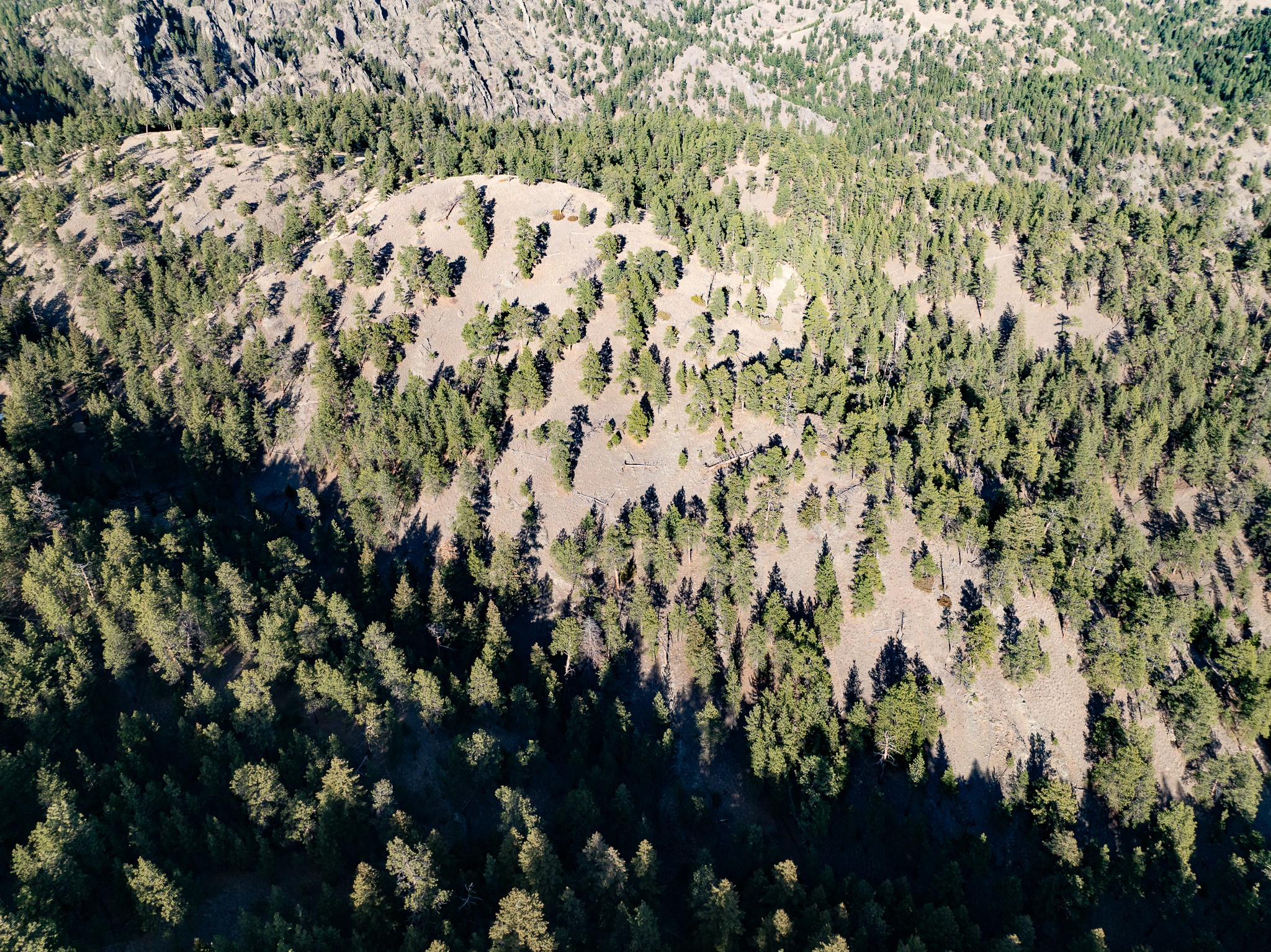 TBD Big Pine Lane