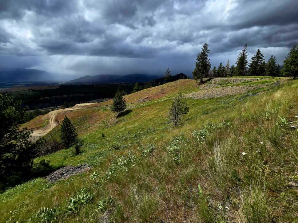 Lot 5 Diamond S Ranch