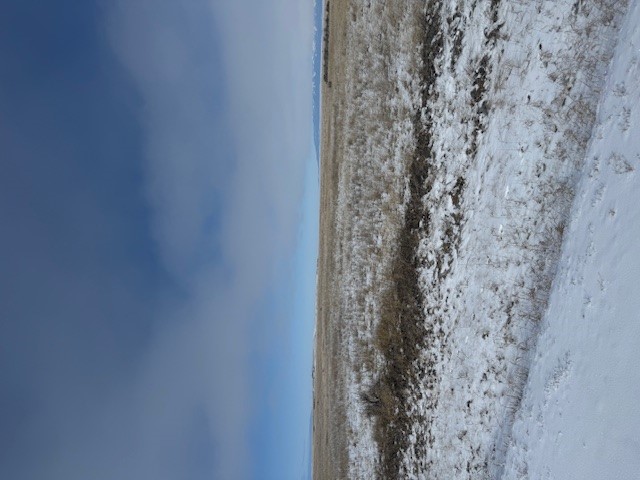 NHN Antelope Road