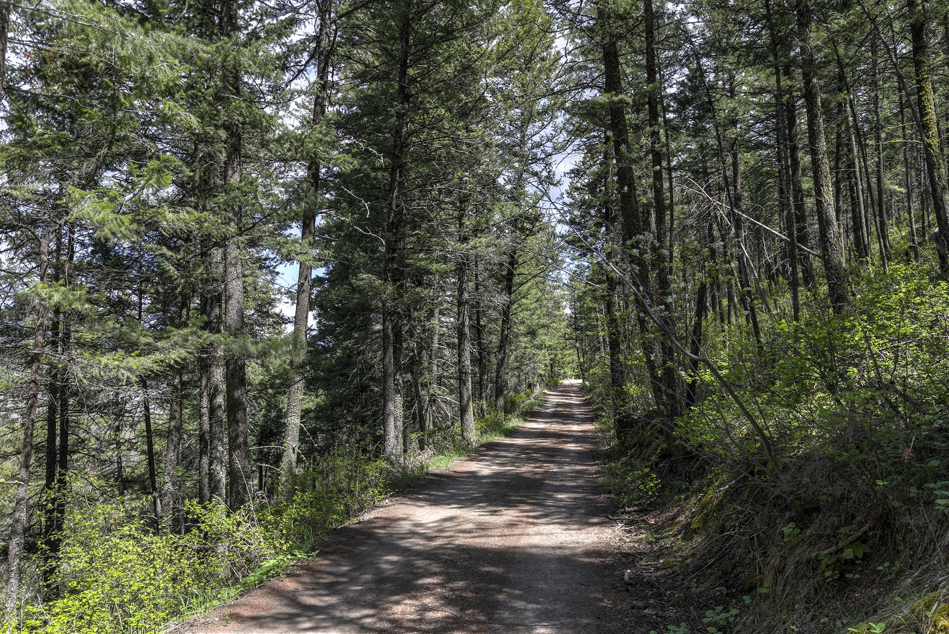 13275 Balsamroot Road