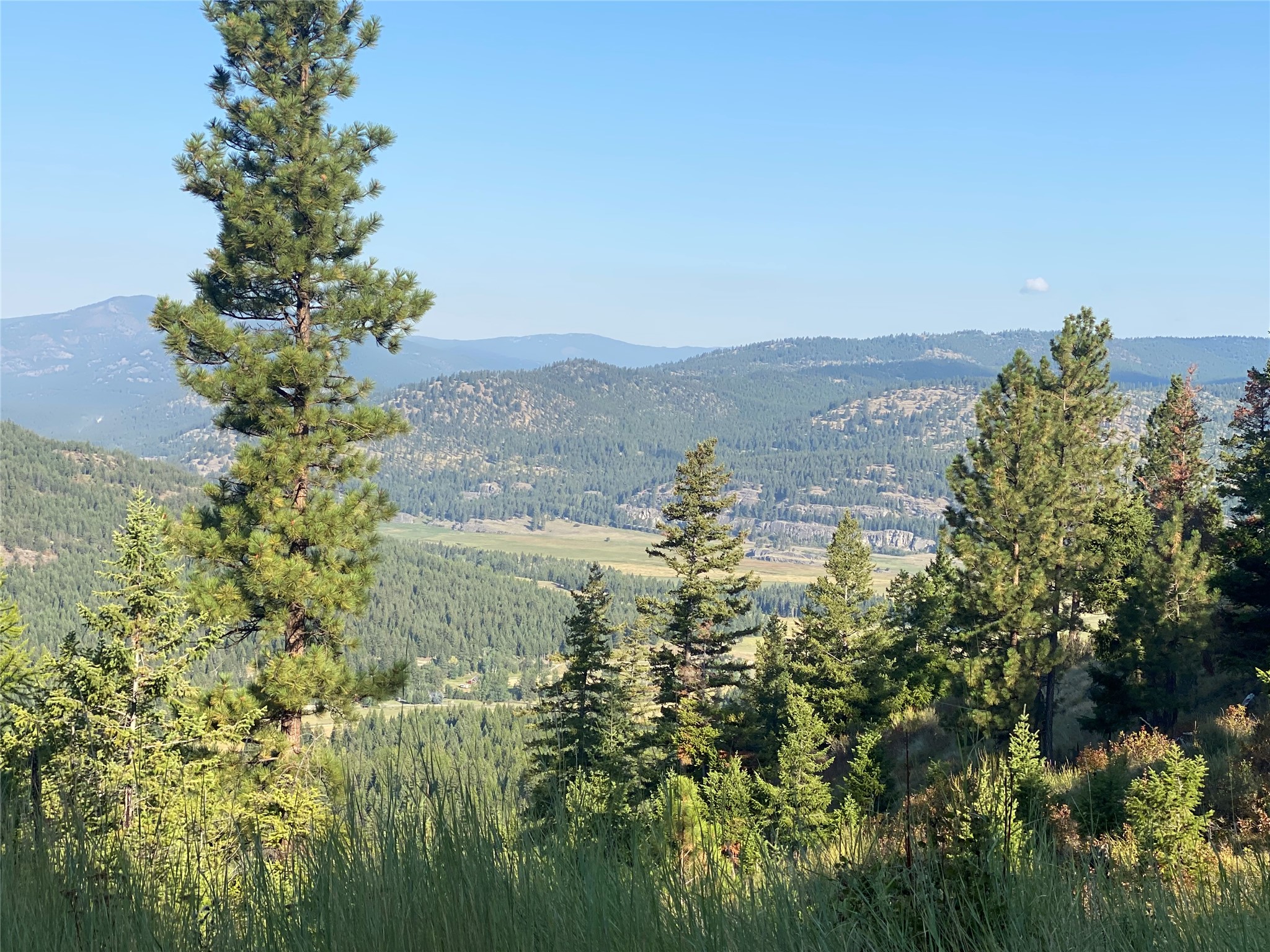 Nhh Whitetail Ridge