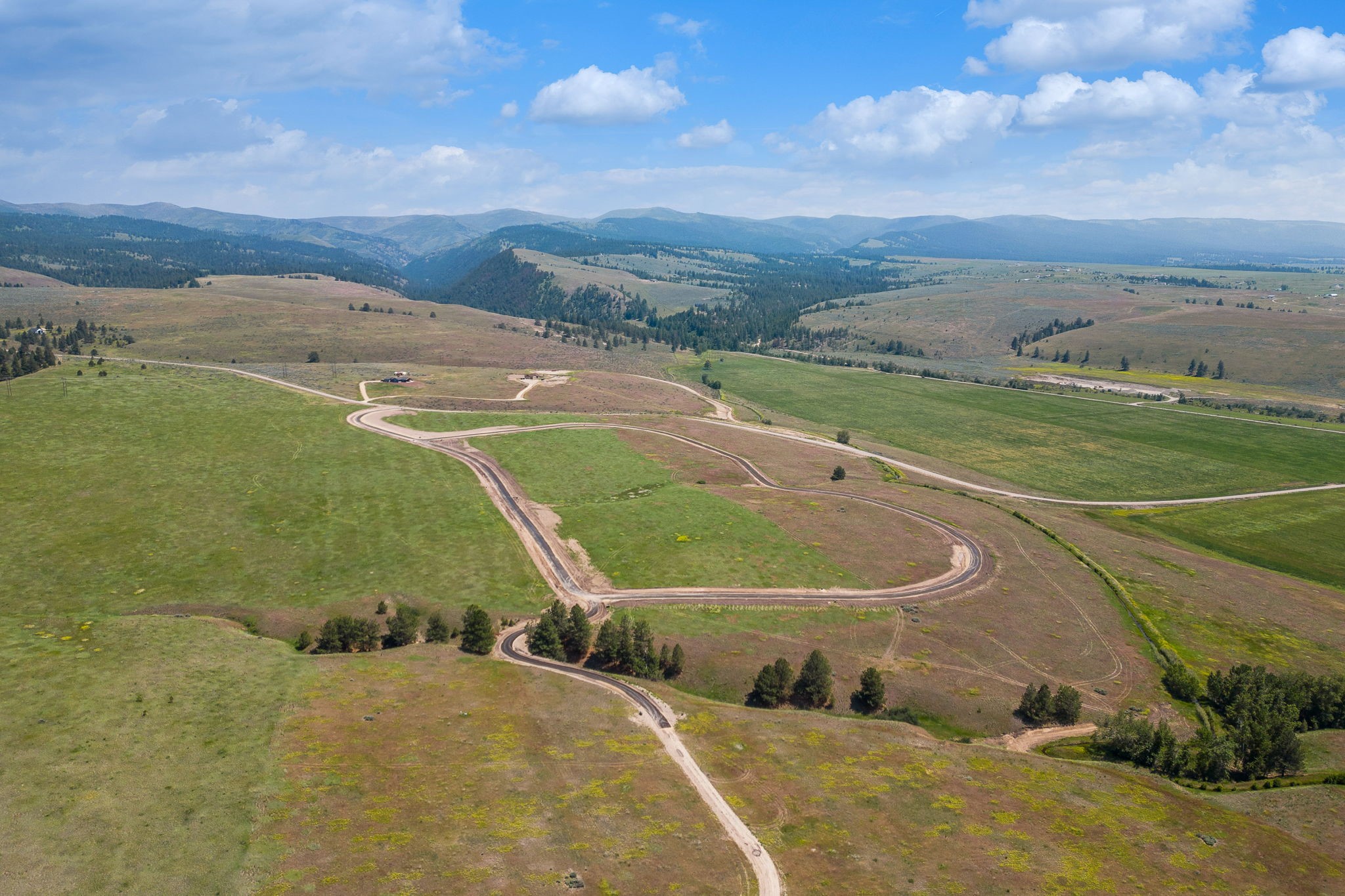 1153 Aspen Ridge Trail