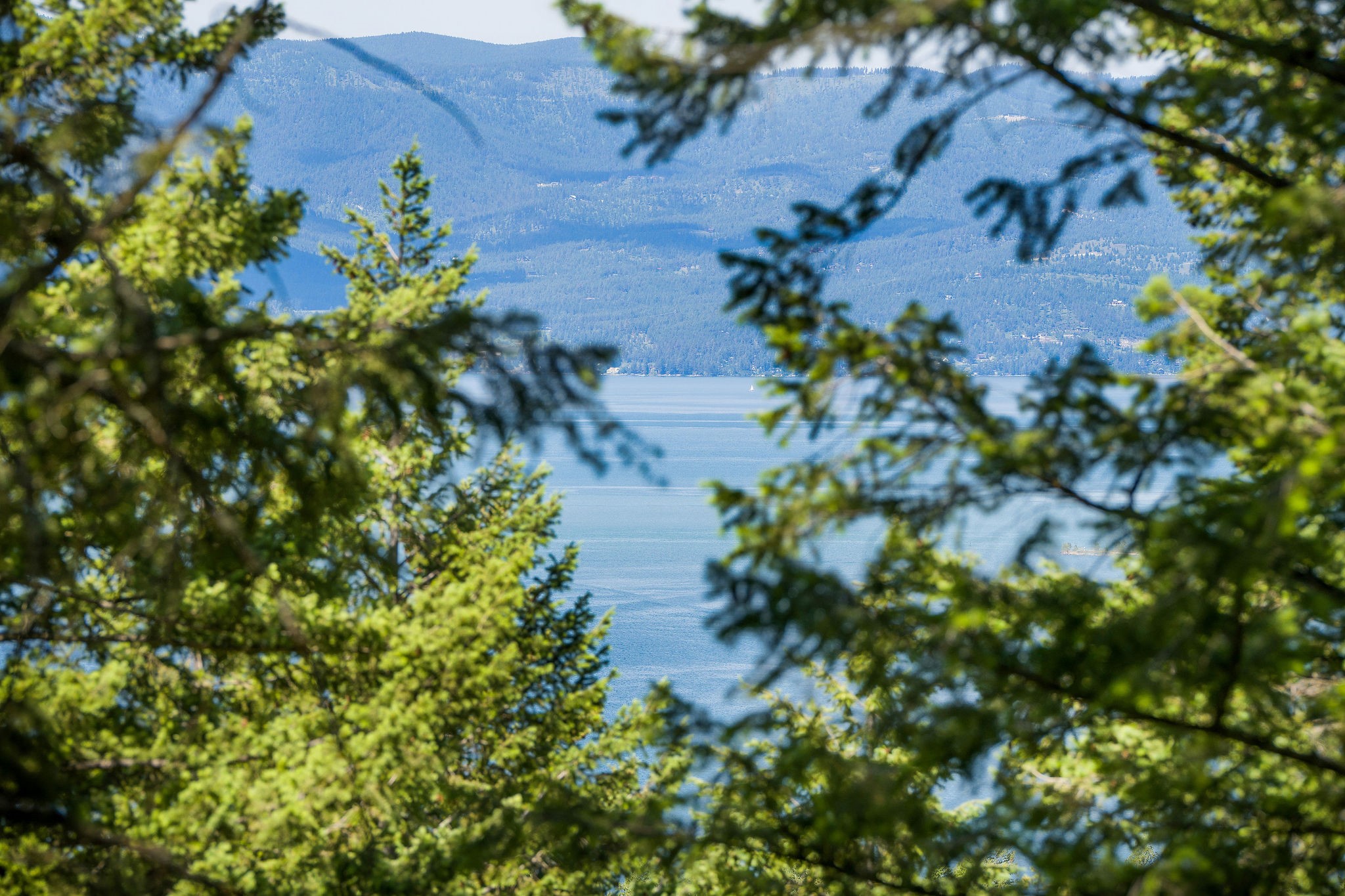 345 Chief Cliff Trail