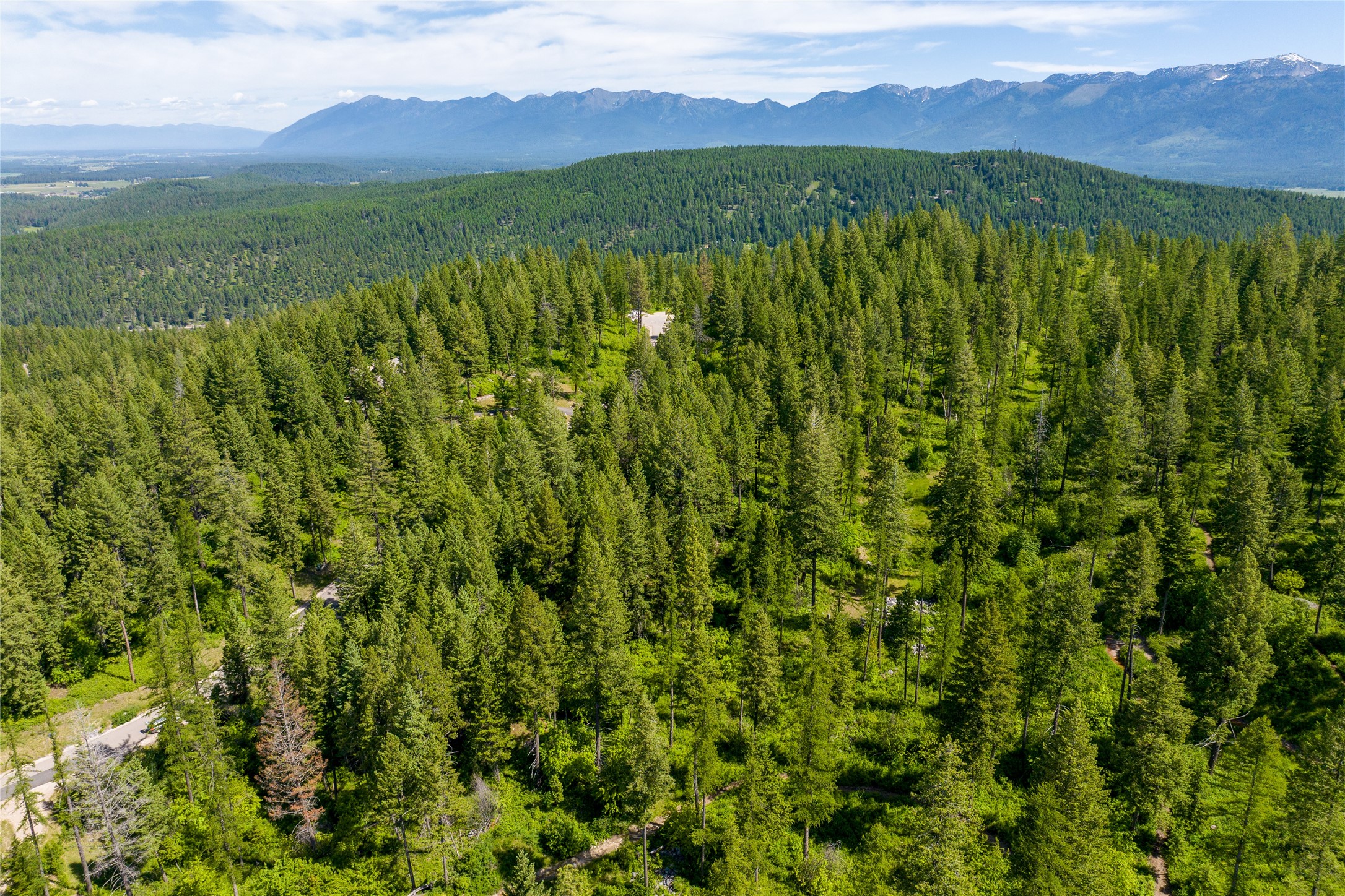 121 Pinto Trail