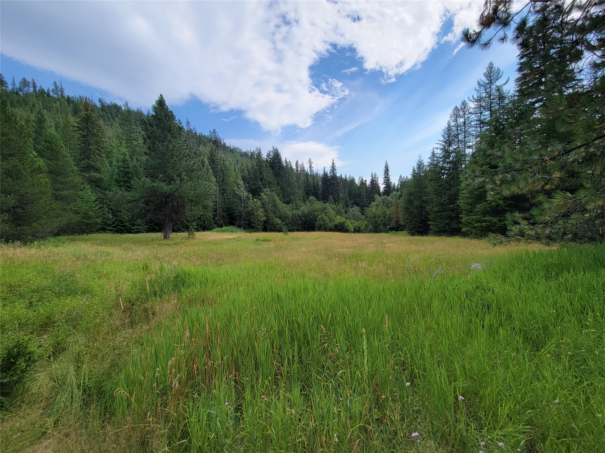 1980 Rabbit Creek Road