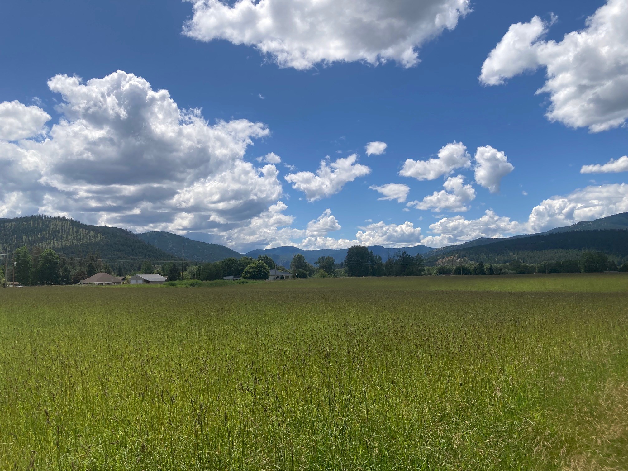 Lot 2 Huson Road