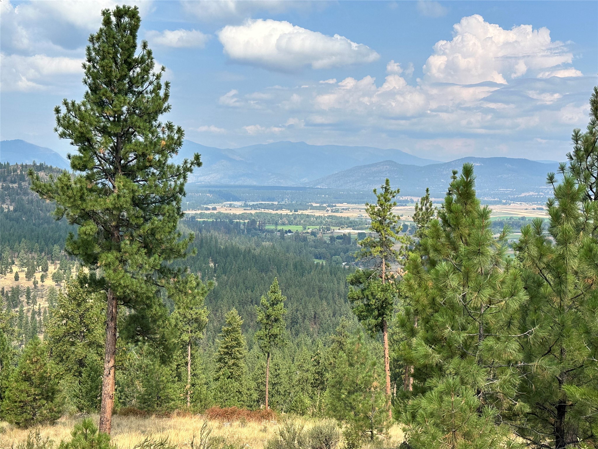 36 Bighorn Bluff Loop