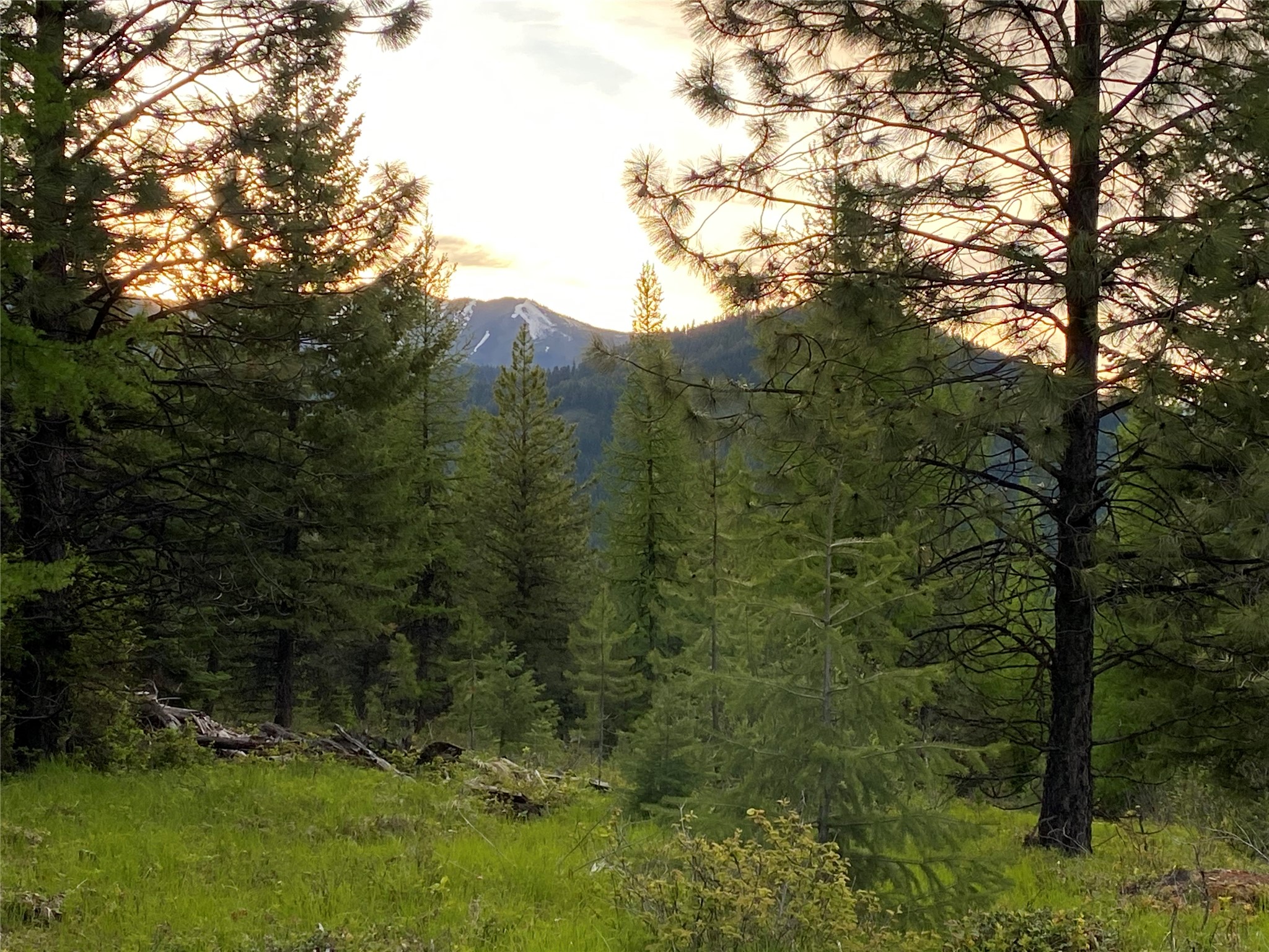 Lot 6 Panoramic View Drive