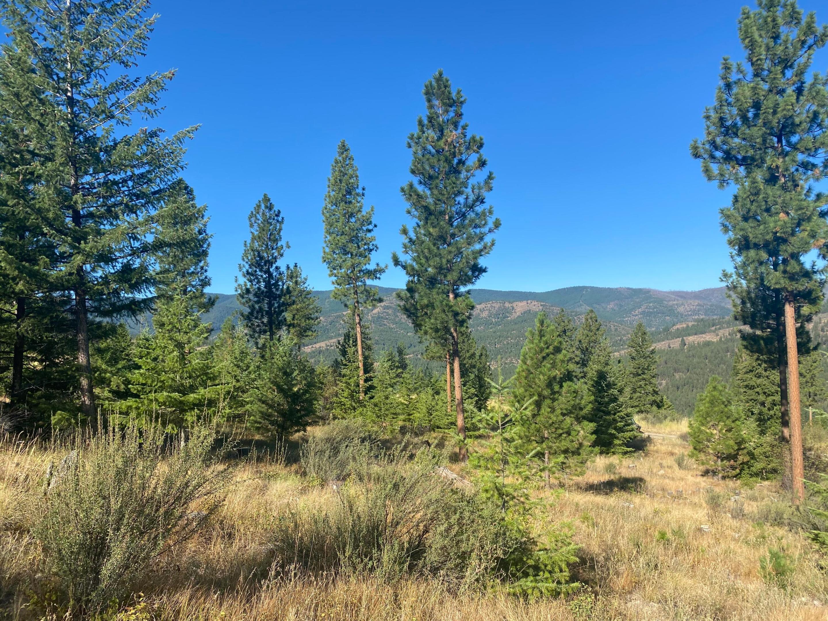 Lot 40 Bighorn Bluff Loop