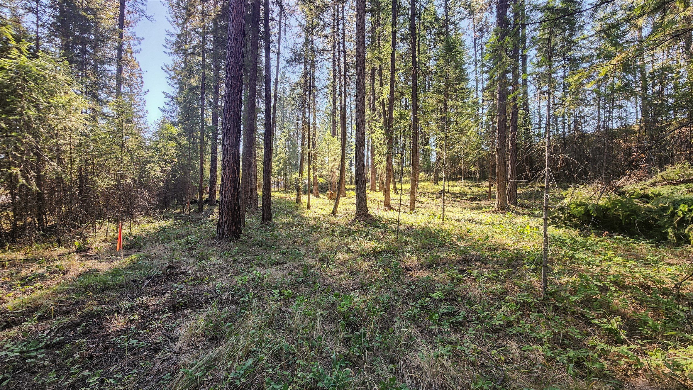 1505 Kootenai River Road
