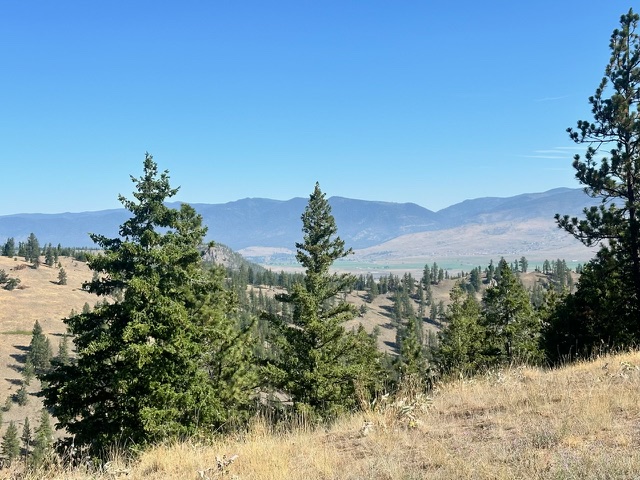 Parcel 1A Dry Gulch Road