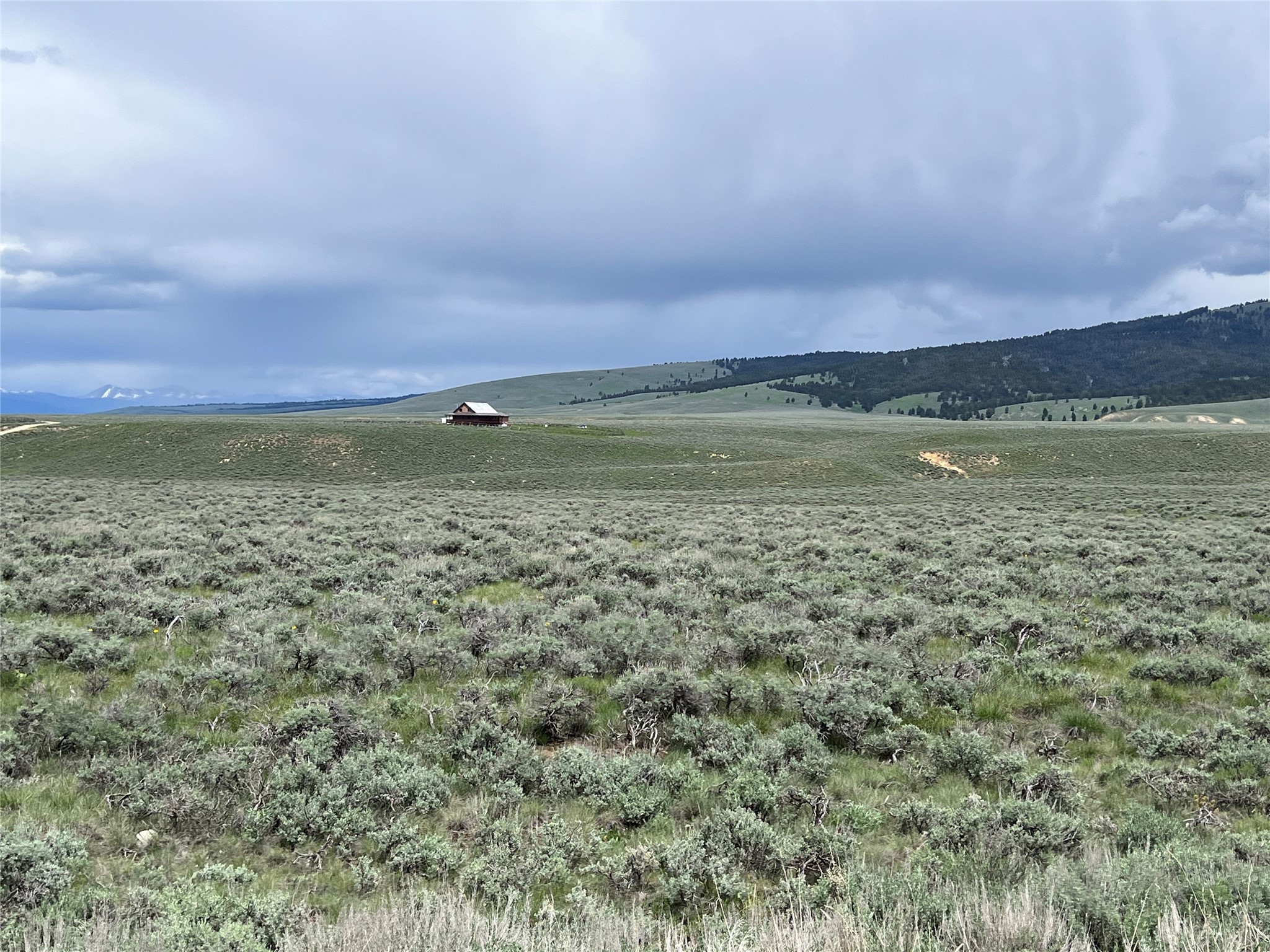 Tract 10 Steel Creek Road
