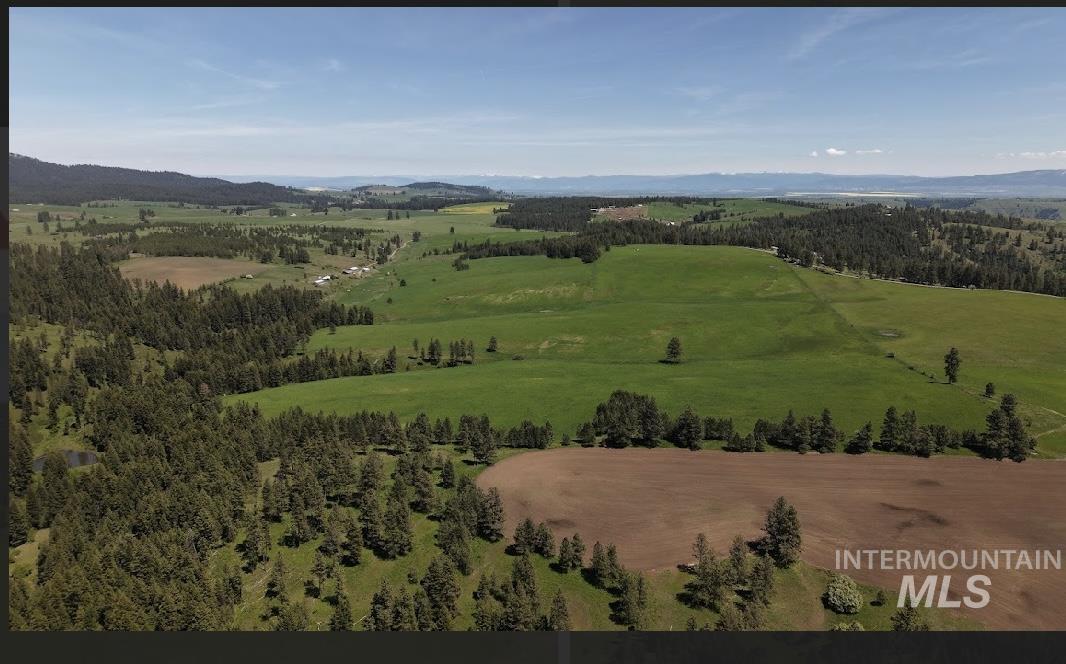 TBD Rieman Rd, CottonWood ID 83522