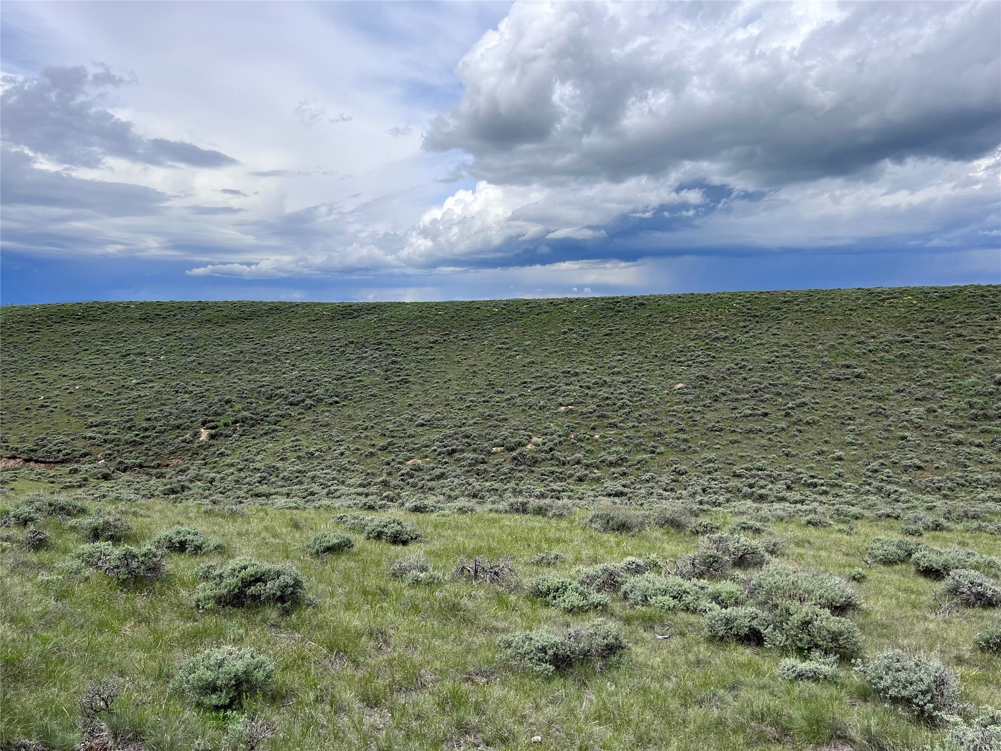 Tract 11 Steel Creek Road