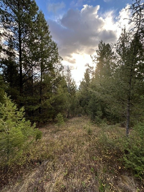 Lot 10 Black Pine Meadows Subdivision