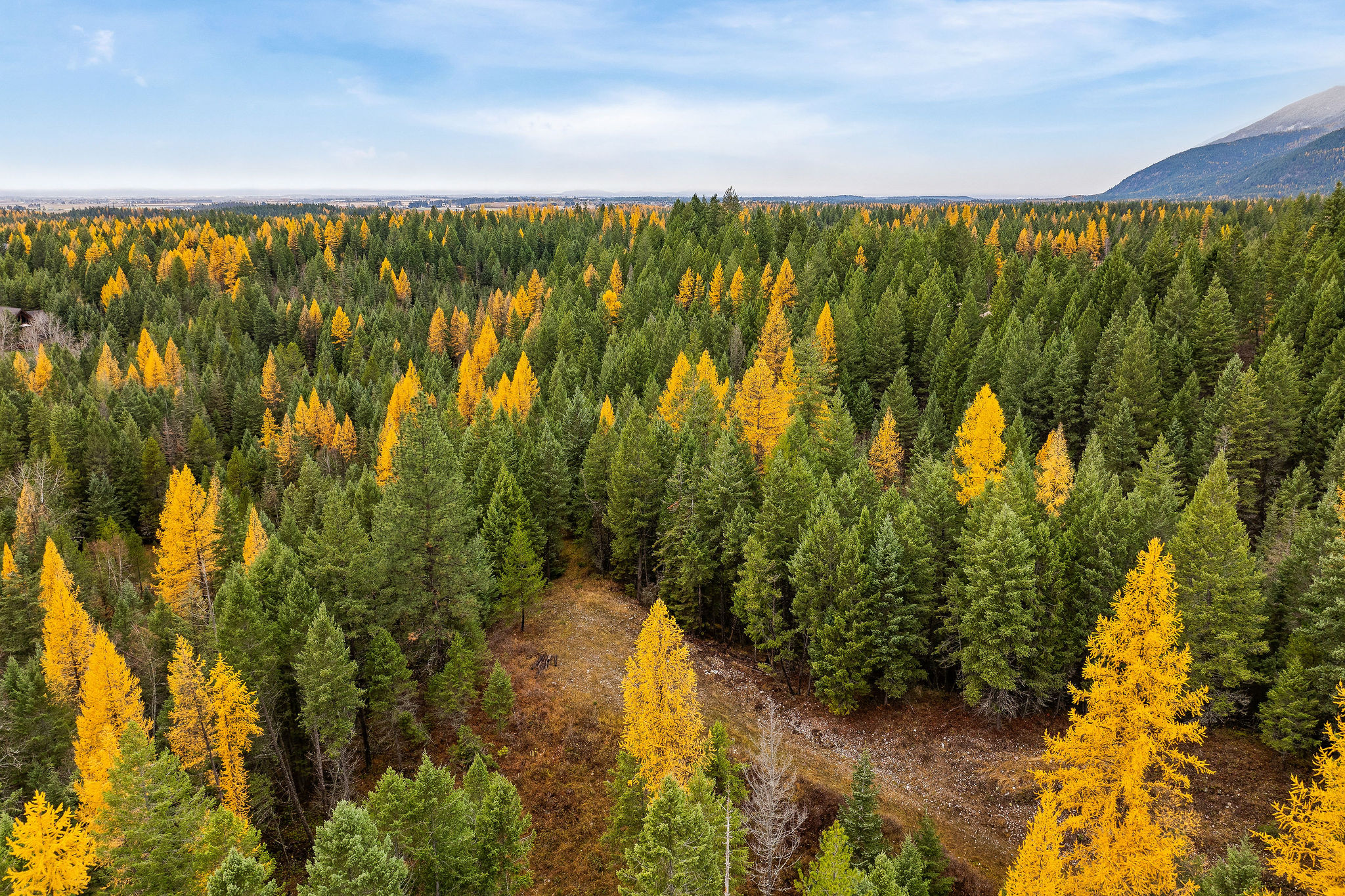 199 E Many Lakes Drive