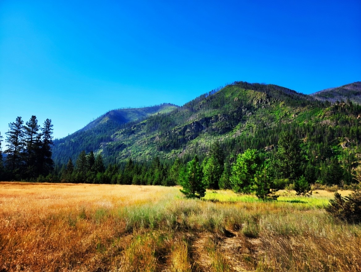 Lot 4 Harbine Ranch Road