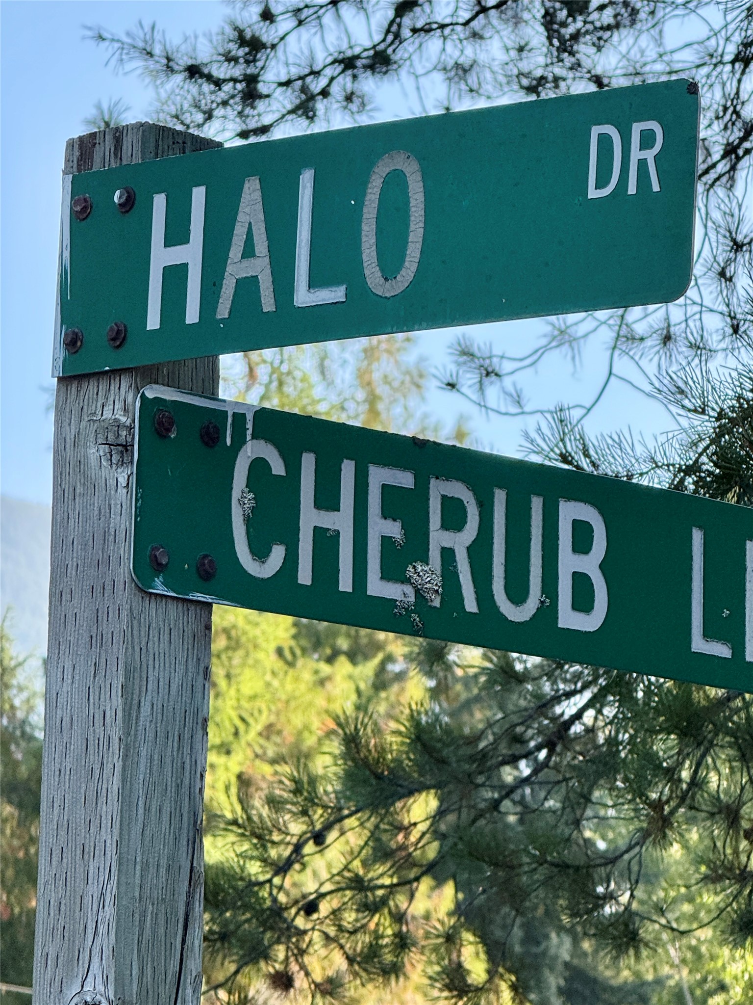 749 Halo Drive LOT 19