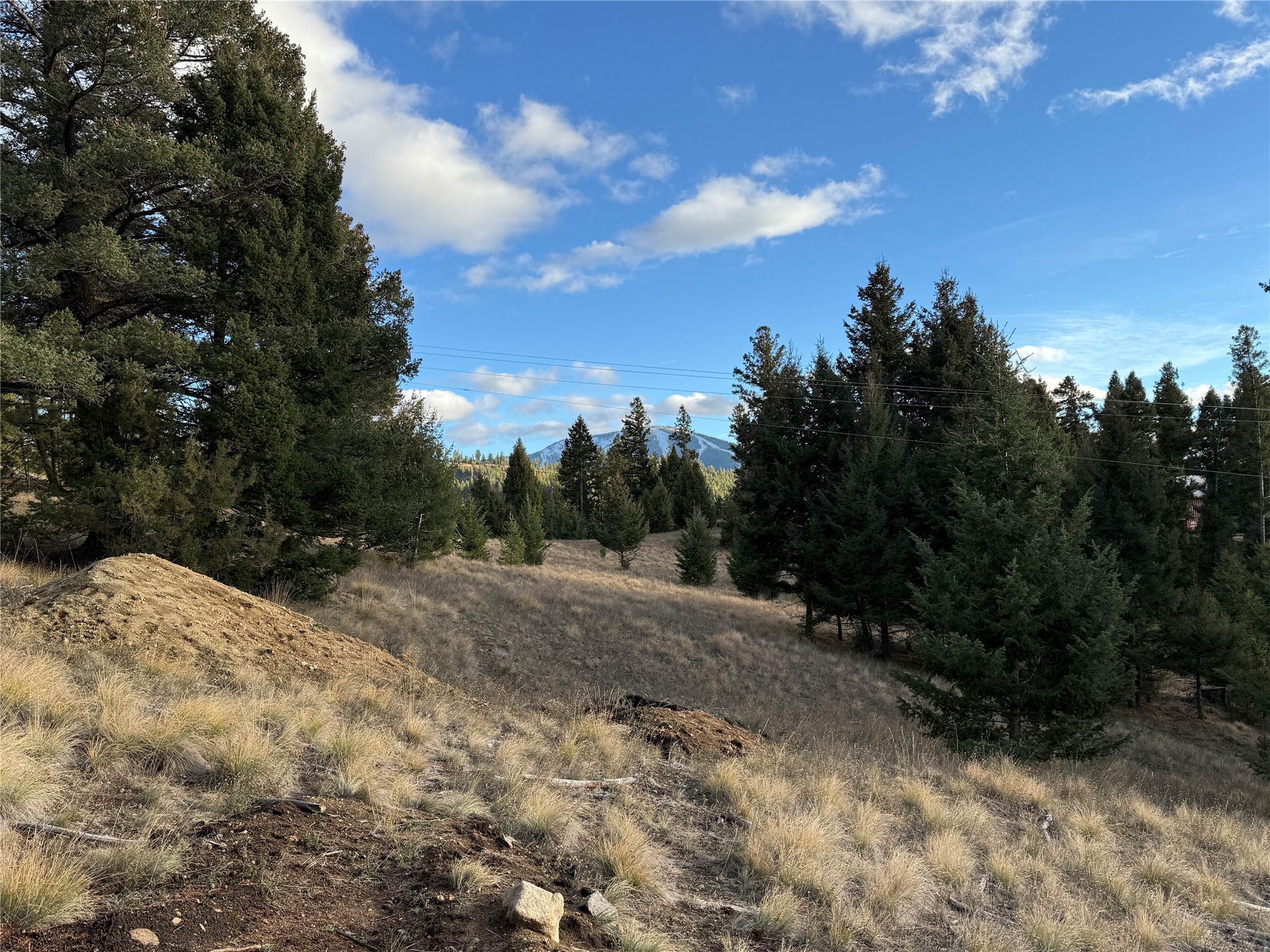 Lot 3 Scranton Lode