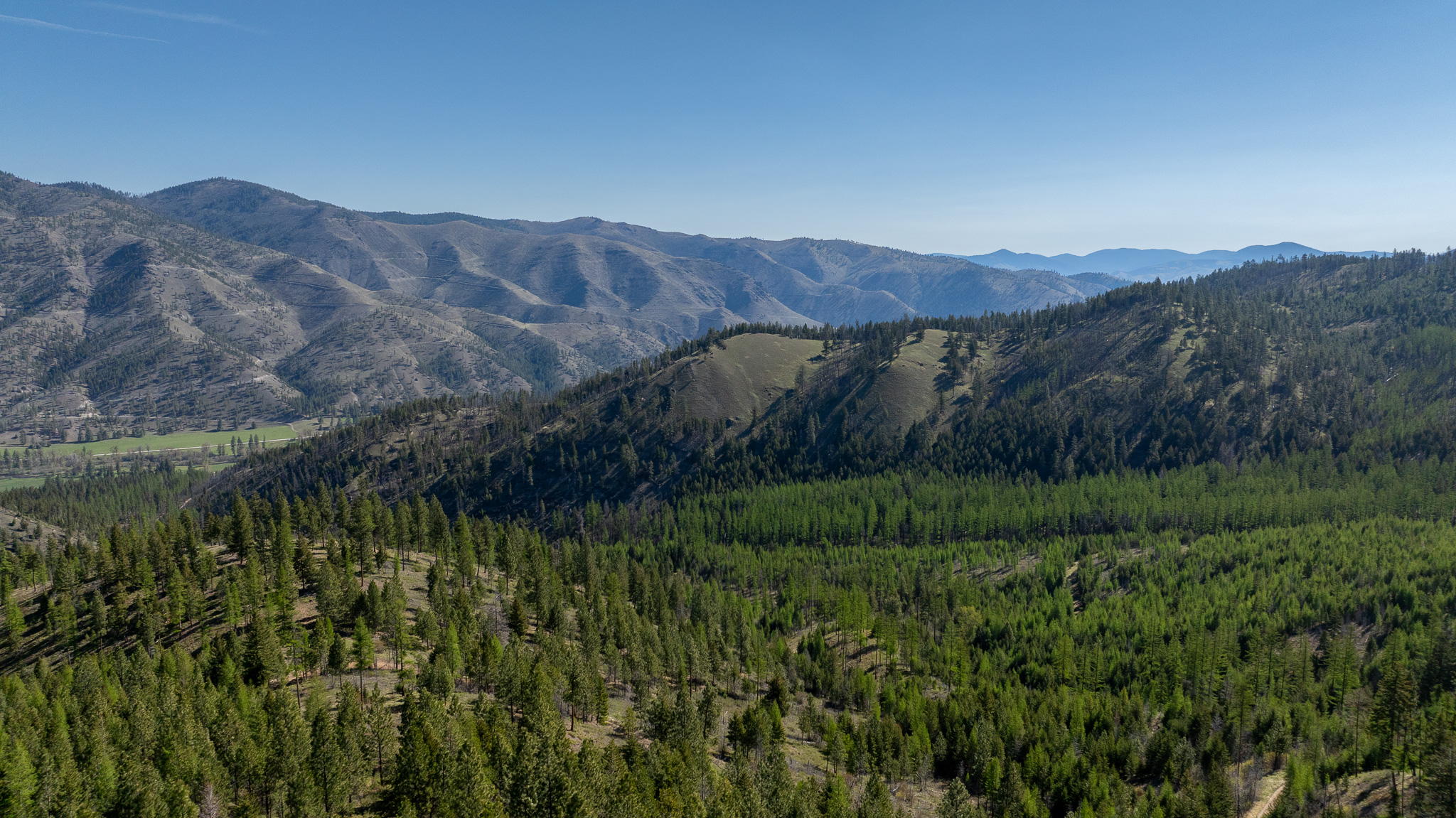 Lolo Peak Shadows